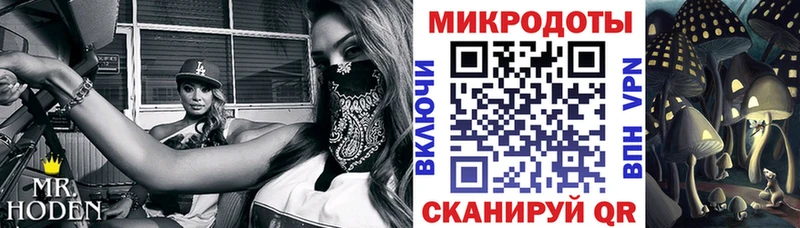 Галлюциногенные грибы Magic Shrooms Каменка